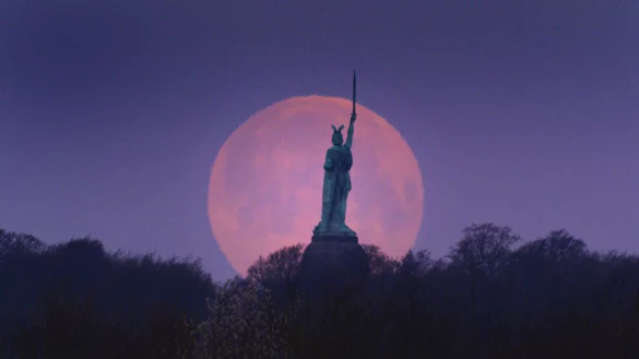 Naturfilmer Robin Jaehne hat dieses tolle Foto aufgenommen. - &copy; Robin Jaehne