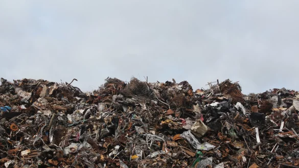 - &copy; Symbolfoto: Pixabay