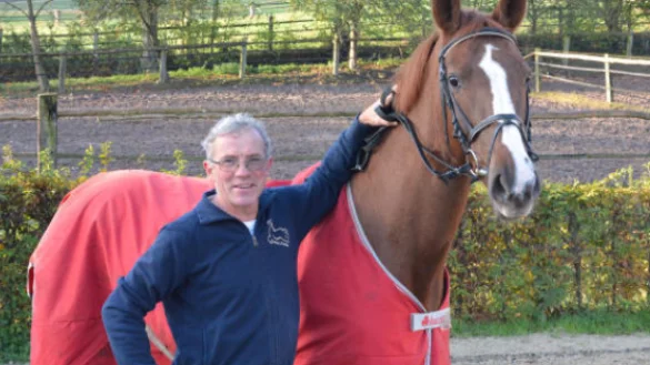Nervenstark: Der 1,70 Meter gro&szlig;e Westfale &bdquo;Akino" wird in diesem Jahr das Stankt-Martins-Pferd beim Umzug der Kirchengemeinde. Der Abschluss findet auf dem Marktplatz statt. Reitlehrer Dirk Schlichte stellt das Pferd gerne zur Verf&uuml;gung.&nbsp; - &copy; Tanja Watermann