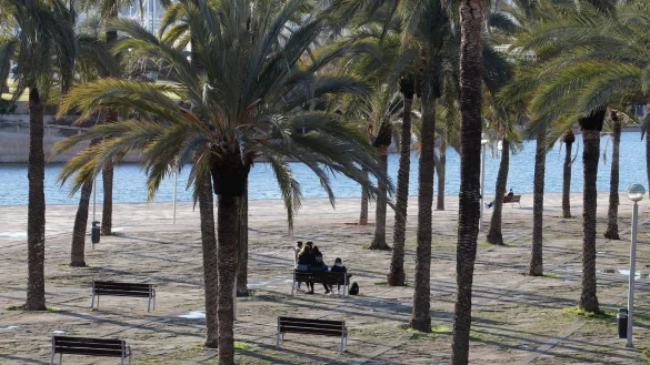 Coronavirus - Mallorca - &copy; Foto: Clara Margais/dpa