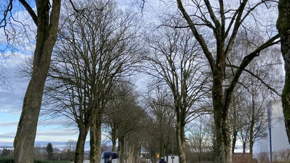 Die Lindenstraße soll zum größten Teil zur Fahrradstraße werden, Verkehrsberuhigungsmaßnahmen sollen hinzu kommen. Besonders im westlichen Teil, der ohne Gehwege ist, wird Handlungsbedarf gesehen. - © Cordula Gröne