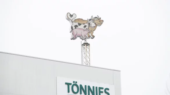 T&ouml;nnies - &copy; Foto: Friso Gentsch/dpa