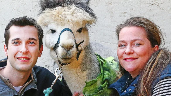 Gruppenbild mit Kamel: Grisu, der Chef der kleinen Kalletaler Herde, scheint zu l&auml;cheln. Mit ihm freuen sich Alexander Laleicke und Sabine Stock. - &copy; Dietmar Kuhfuss