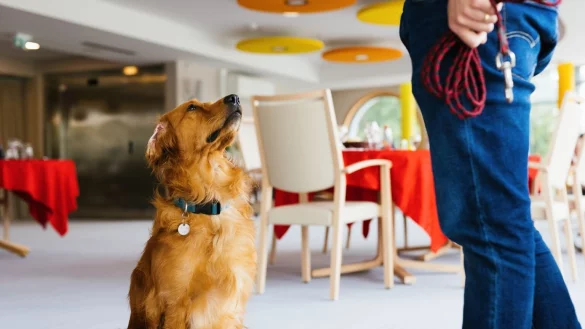 Corona-Hund - &copy; Foto: Philipp von Ditfurth/dpa