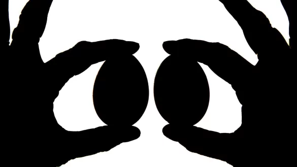 Eier-Code vergleichen - &copy; Foto: Peter Steffen/dpa