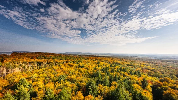 - &copy; Torben Gocke