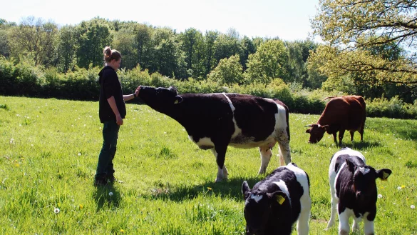Einf&uuml;hlungsverm&ouml;gen ist eine wichtige Eigenschaft als Tierpflegerin, die sich Jette Reimer bei der Arbeit mit den Tieren angeeignet hat. Hier ist sie auf der Weide mit dem Schwarzbunten Niederungsrind und dem Siegerl&auml;nder Rotvieh zu sehen. - &copy; LWL/Lakenbrink