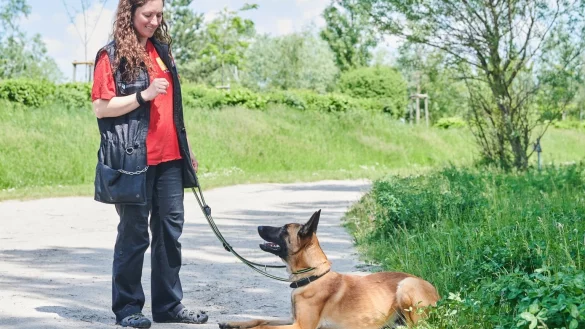 Xenia Katzurke, Tier&auml;rztin f&uuml;r Verhaltenstherapie, trainiert mit Sch&auml;ferhund Leon im Tierheim Berlin. - &copy; Foto: Annette Riedl/dpa