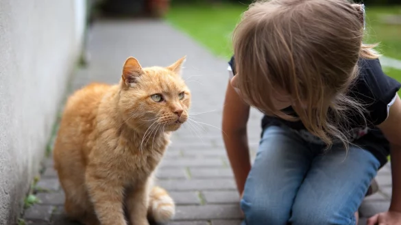 Neues Familienmitglied - &copy; Foto: Silvia Marks/dpa Themendienst/dpa-tmn