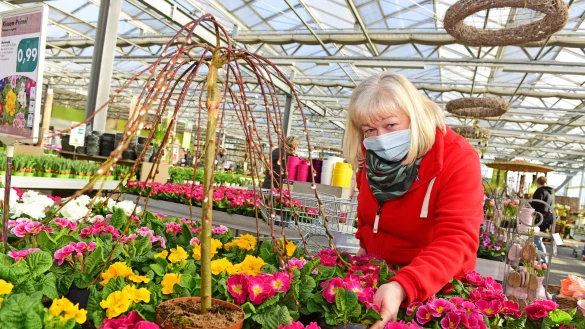Susannne Merz stellt im Gartencenter Brockmeyer den richtigen Farbtupfer für den Frühling zusammen. - © Nicole Ellerbrake