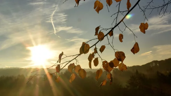 Urlaub in den Herbstferien - &copy; Foto: Bernd Thissen/dpa