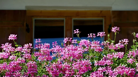 - &copy; Karl-Josef Hildenbrand/dpa/dpa-tmn