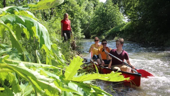 Paddeln im wilden Wasser: Auch das ist in Lippe möglich. 
- © Stefan Backe