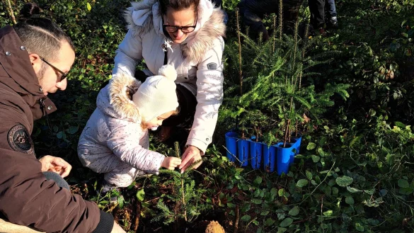 Jedes Kind pflanzte sein eigenes kleines B&auml;umchen. - &copy; Fotorechte: SPD Lemgo