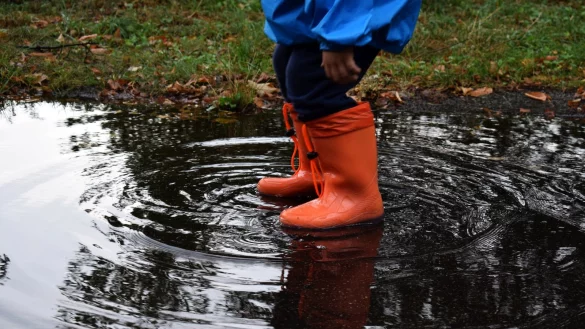 Die Regenf&auml;lle in den vergangenen drei Monaten haben dazu gef&uuml;hrt, dass sich die Grundwasserst&auml;nde in Detmold wieder erholt haben. - &copy; Pixabay