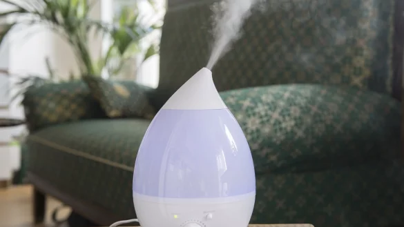 Luftbefeuchter - &copy; Foto: Robert G&uuml;nther