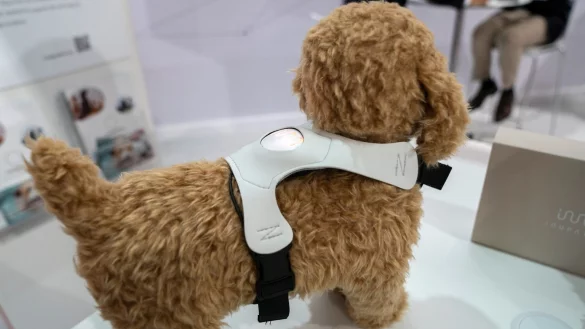 Stimmungsbarometer Inupathy - &copy; Foto: Florian Schuh/dpa-tmn