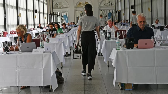 Spitzenweine werden gepr&uuml;ft - &copy; Foto: Peter Zschunke/dpa