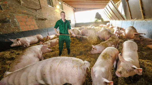 F&uuml;r Christoph Sandh&auml;ger aus Rheda-Wiedenbr&uuml;ck ist Landwirt "der absolute Traumberuf". - &copy; Andreas Zobe