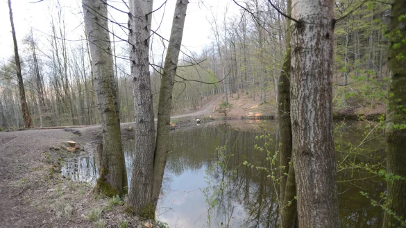 Der Feuerl&ouml;schteich am Blomensteiner Weg: Hier ist der Eingangsbereich zum Ruheforst geplant. Drei Parkpl&auml;tze mit 70 Stellpl&auml;tzen sieht der Plan f&uuml;r Besucher des Begr&auml;bniswaldes vor.&nbsp; - &copy; Karl-Heinz Krull