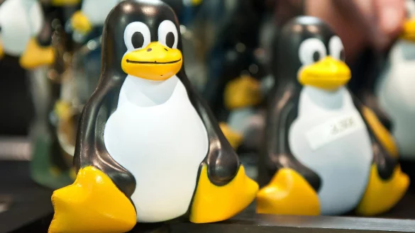 Linux -Maskottchen Tux - &copy; Foto: Tobias Kleinschmidt