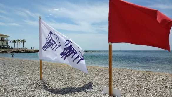 Giftquallen auf dem R&uuml;ckzug - &copy; Foto: Patrick Schirmer Sastre