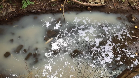 So sah der Aschbach in Bösingfeld am Freitagnachmittag aus. Die Feuerwehr musste das verunreinigte Wasser abpumpen. - © Peter Völmeke/Kreis Lippe
