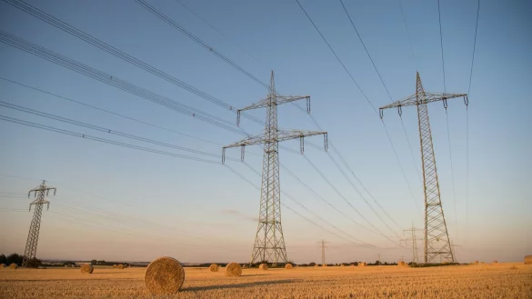 Mitunter teuere Energie: Strom - &copy; Foto: Arne Immanuel B&auml;nsch/dpa/dpa-tmn