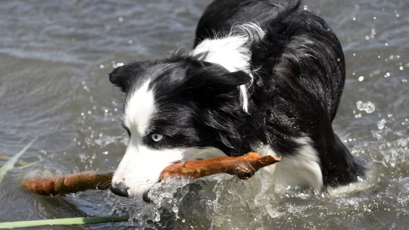 Gefahren und Kondition - &copy; Foto: Maurizio Gambarini