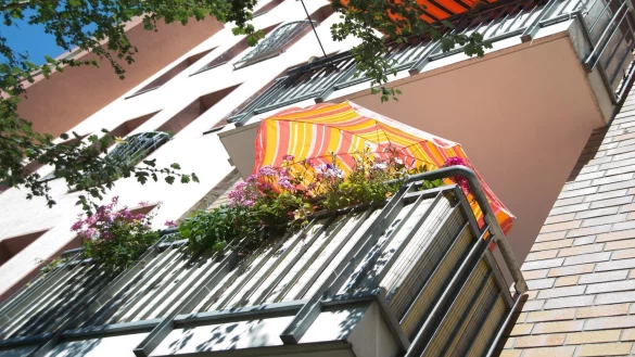 Beh&uuml;tet unter dem Sonnenschirm - &copy; Foto: Andrea Warnecke/dpa-tmn