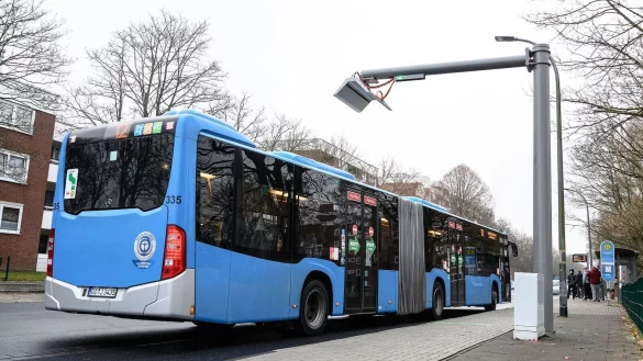 - &copy; Swen Pf&ouml;rtner/dpa