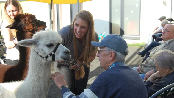 Weiches Fell: Behutsam f&uuml;hrt Praktikantin Katja Mehlis den wei&szlig;en Alpaka Jimmy zu Bewohner Karl-Hans Grube, damit er das Tier streicheln kann. - &copy; diakonis