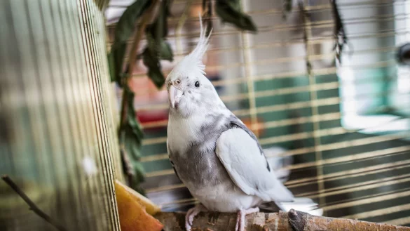 Einzeln halten - &copy; Foto: Frank Rumpenhorst/dpa-tmn