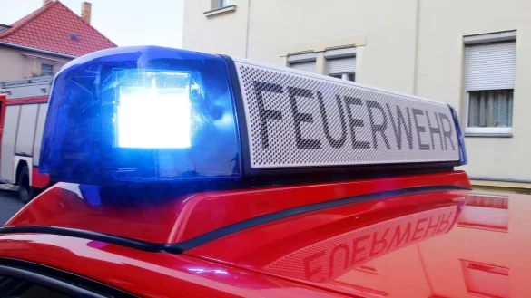 Die Wehr musste am Mittwoch zu einem Kaminbrand ausr&uuml;cken. - &copy; Pixabay