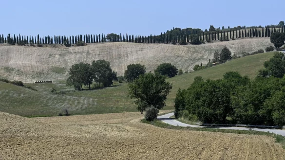 Strade Bianche - &copy; Foto: Dirk Waem/BELGA/dpa