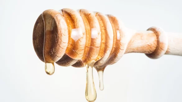 Honig - &copy; Foto: Franziska Gabbert