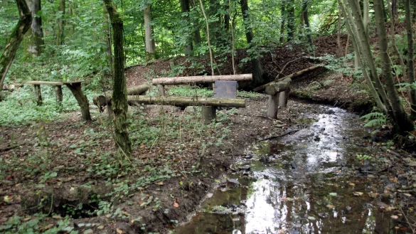 Verborgen im Wald: die Reste der Uffoburg. - © Privat