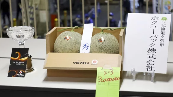 Yubari-Melonen - &copy; Foto: --/kyodo/dpa