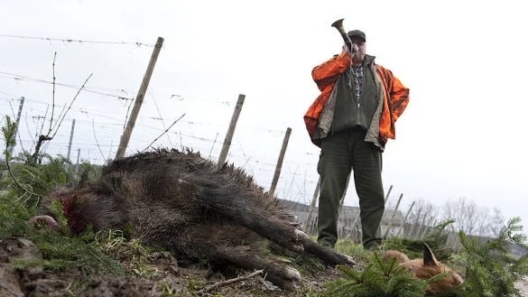 - &copy; SYMBOLFOTO: DPA