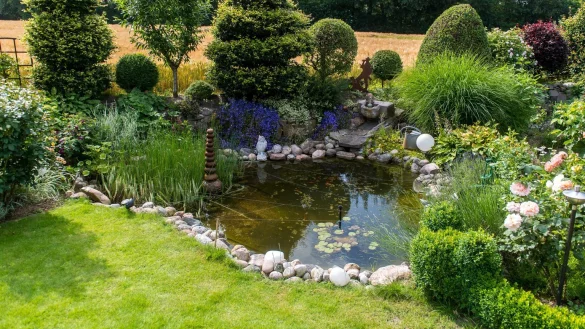 Gartenteich - &copy; Foto: Benjamin Nolte/dpa-tmn