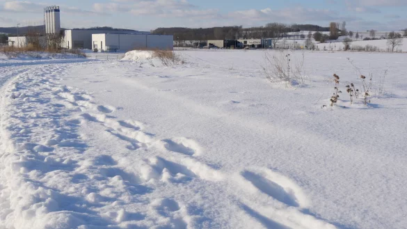 Bis Montag sind noch Stellungnahmen zum Bebauungsplan Be10 m&ouml;glich, der die Weichen f&uuml;r die Ansiedlung eines gro&szlig;en Logistikzentrums im Industriepark Lippe bei Belle stellt. Die Initiative &bdquo;Beller Feld" scheitert mit einem Antrag auf Fristverl&auml;ngerung. - &copy; Jost Wolf