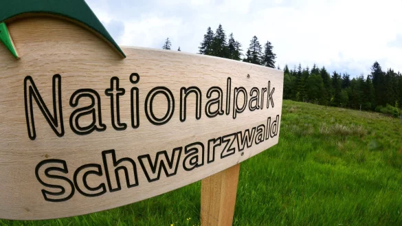 Schwarzwald - &copy; Foto: Patrick Seeger