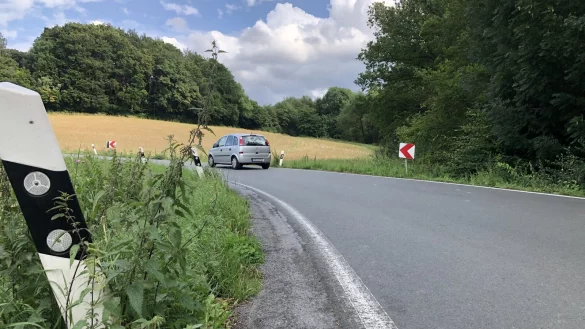 Die Hornoldendorfer Stra&szlig;e: Die neue Stra&szlig;e auf dem Damm w&uuml;rde, von rechts von der Fromhauser Stra&szlig;e kommend, in der Kurve wieder auf die Kreisstra&szlig;e Richtung Remmighausen f&uuml;hren.&nbsp; - &copy; Martin Hostert