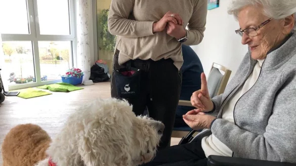 Die Therapiehunde Bruno & Marlo statten den Sennioren in Alloheim Senioren-Residenz „Barntrup“ wöchentliche Besuche ab - © Alloheim Senioren-Residenz