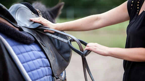 Langsamer Einstieg - &copy; Foto: Christin Klose