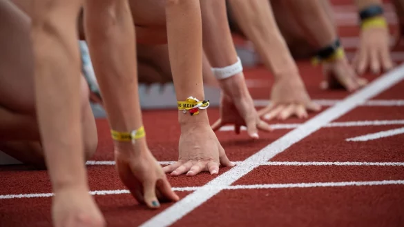 &laquo;Die Finals&raquo; - &copy; Foto: Sven Hoppe/dpa