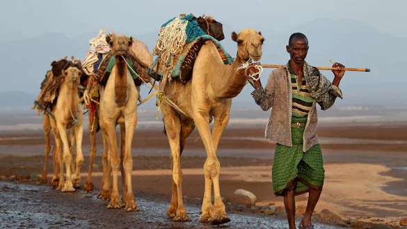Eine Karawane in Äthiopien. Roland Marske Bilder Afrikas werden in der Multivisions-Show mittels Spezialprojektoren gezeigt. - © Roland Marske/Jules Verne Berl