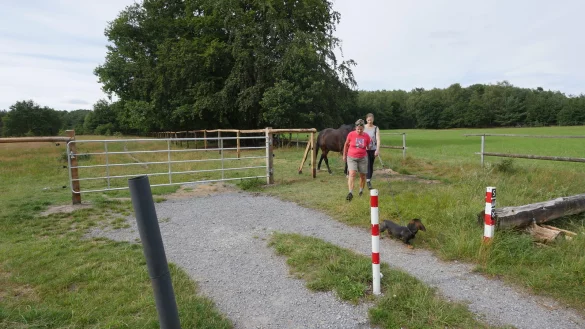 Der L&ouml;nspfad ist weiterhin passierbar. Wanderer k&ouml;nnen bequem au&szlig;en am Zaun vorbei laufen, sogar mit Pferd, wie Susanne Biere (links) und Carolin Receveur mit Pferd Winnie Puuh und Dackel Filou anschaulich beweisen. - &copy; Jost Wolf