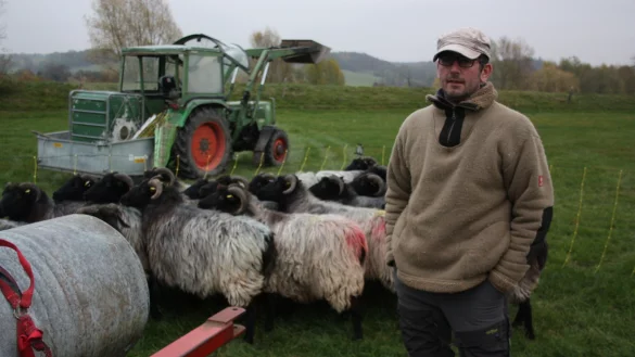 Sch&auml;fer Jens Meyer ist besorgt um seine Heidschnucken. - &copy; Torsten Wegener