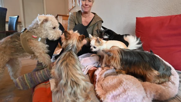 Tierhilfe H&ouml;xter, Susanne Breker - &copy; Thomas Kube